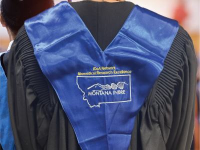 MT INBRE Graduation Stole MT INBRE Graduation Stole